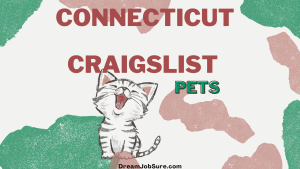 Connecticut Craigslist Pets